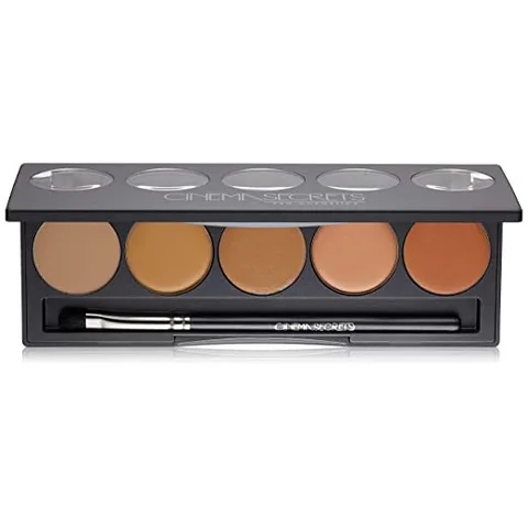 Cinema Secrets Pro Cosmetics Ultimate Corrector 5-In-1 Pro Palette