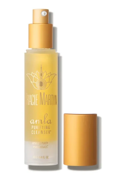 Tracie Martyn Amla Purifying Cleanser